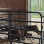Abandonment Laws in Kentucky: Essential Facts Every Resident Should Know