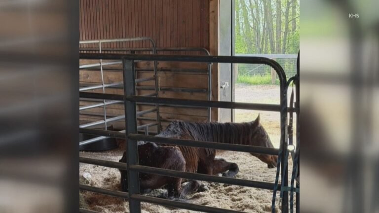 Abandonment Laws in Kentucky
