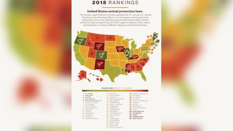 Animal Abuse Laws in Washington State