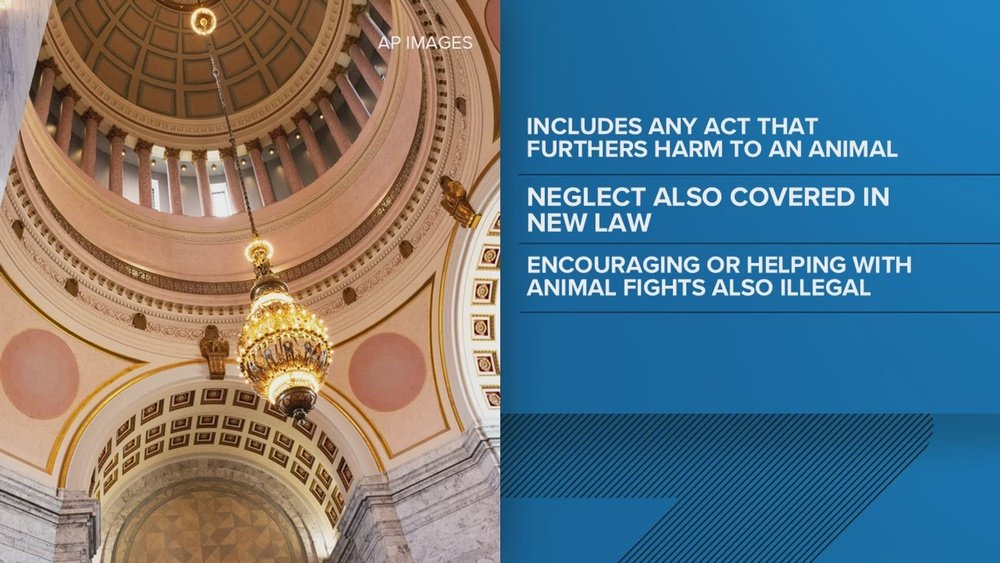 Animal Cruelty Laws in Washington State