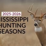 Deer Hunting Laws in Mississippi: Essential Rules You Must Know
