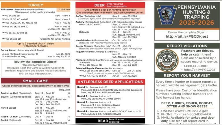 Deer Hunting Laws in Pennsylvania