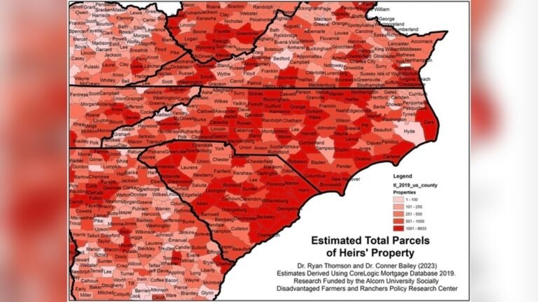 Heir Property Laws in South Carolina