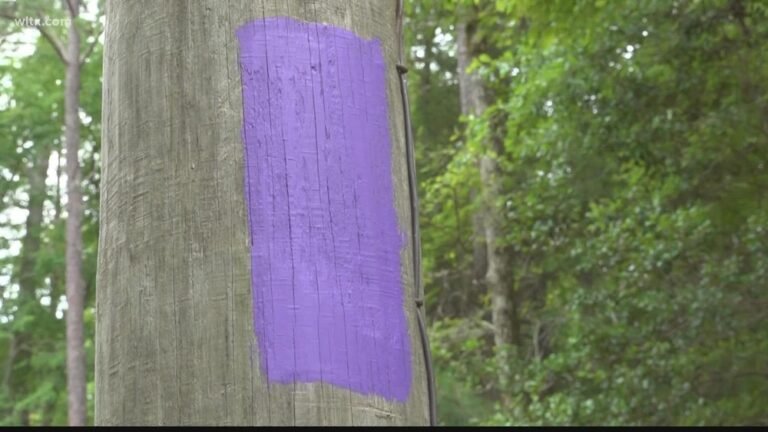 Trespassing Laws in South Carolina