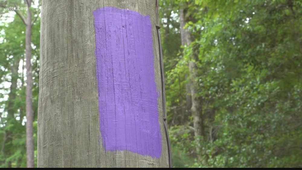Trespassing Laws in South Carolina