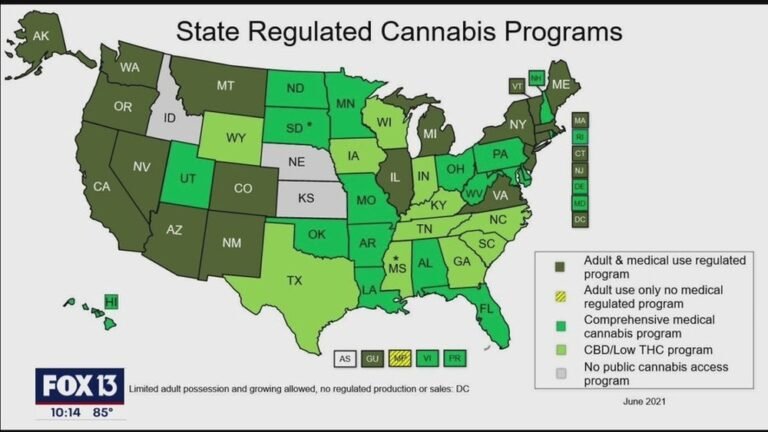 What are the Marijuana Laws in Florida