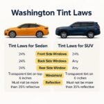 Window Tint Laws in Washington State: What You Need to Know