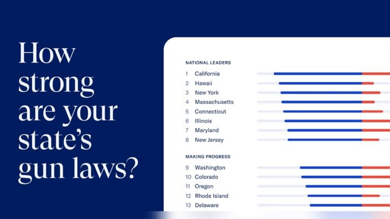 Gun Purchase Laws in Georgia