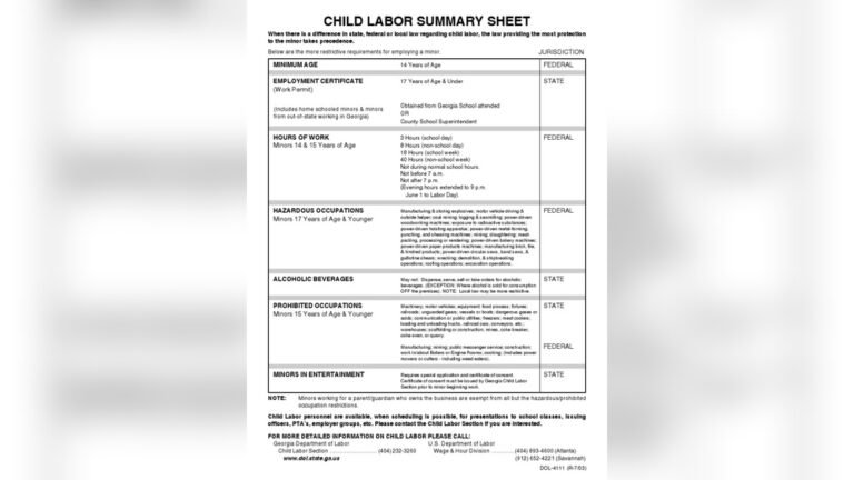 Labor Laws in Georgia for Minors